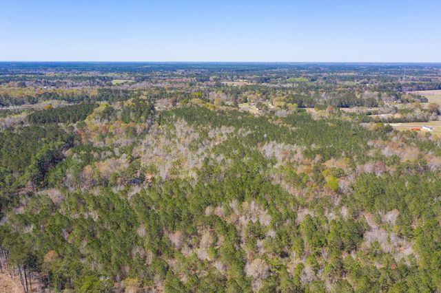 0 Two Churches Road, Harleyville, SC 29488