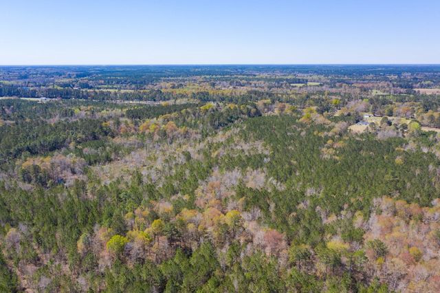 0 Two Churches Road, Harleyville, SC 29488