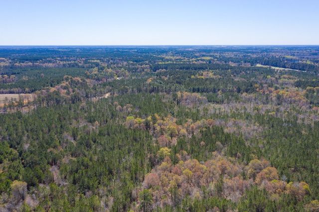 0 Two Churches Road, Harleyville, SC 29488