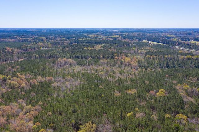 0 Two Churches Road, Harleyville, SC 29488
