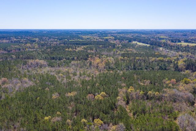 0 Two Churches Road, Harleyville, SC 29488