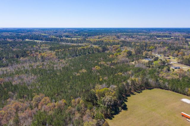 0 Two Churches Road, Harleyville, SC 29488