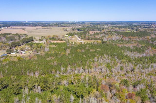 0 Two Churches Road, Harleyville, SC 29488