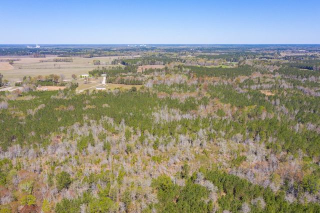 0 Two Churches Road, Harleyville, SC 29488