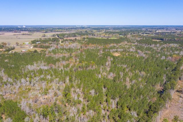 0 Two Churches Road, Harleyville, SC 29488
