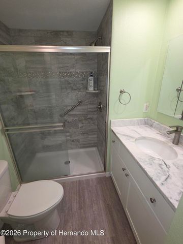 15682 Brookridge Boulevard, Brooksville, FL 34613