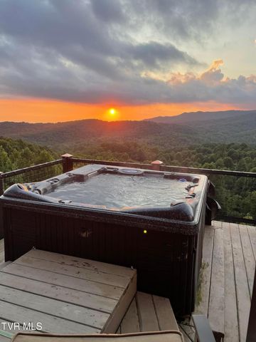 308 Walnut Mountain Farm Loop, Hampton, TN 37658