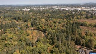 PP2020-49 Lot#2 N. of Osprey Ct. Rd, Albany, OR 97321