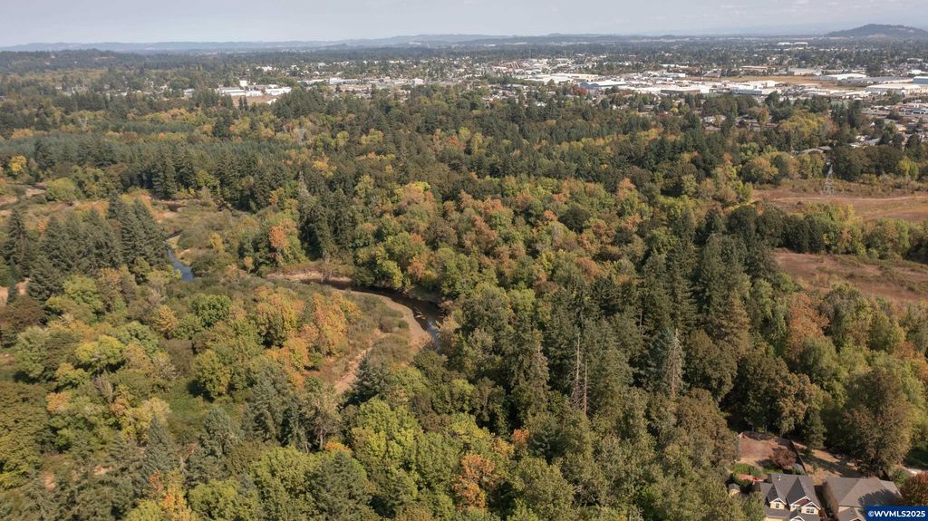 PP2020-49 Lot#2 N. of Osprey Ct. Rd, Albany, OR 97321