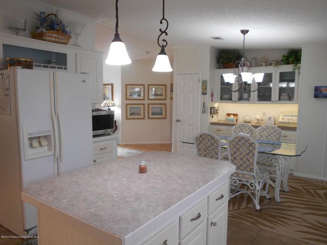 9826 Scepter Avenue, Brooksville, FL 34613