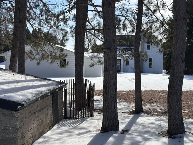 20370 Honor Highway, Inland Twp, MI 49649