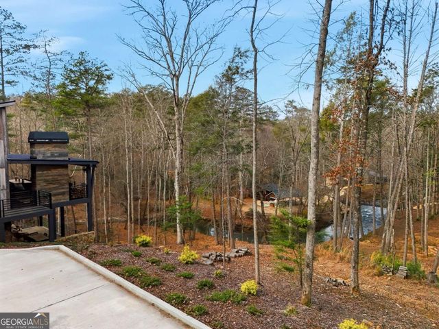 107 Cool Creek Trail, Blue Ridge, GA 30513
