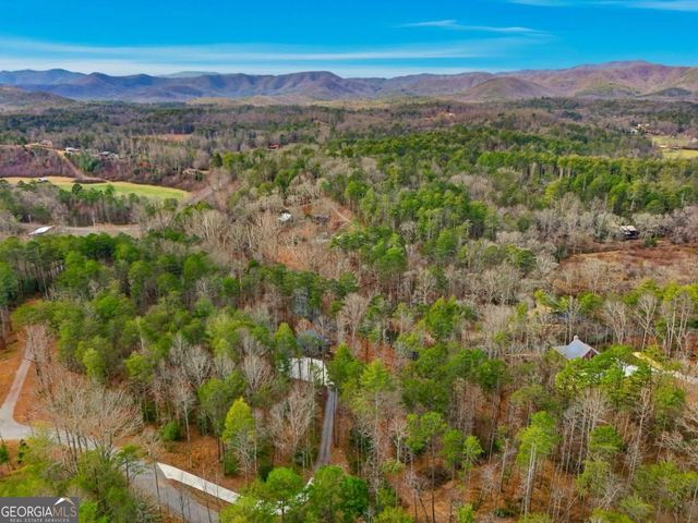 107 Cool Creek Trail, Blue Ridge, GA 30513