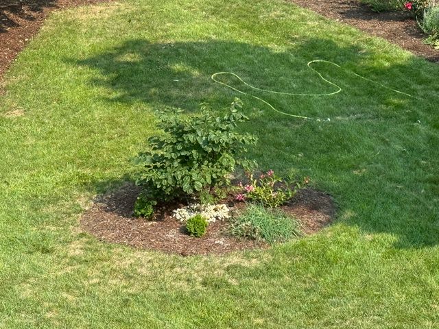 133 S Walkup Avenue, Crystal Lake, IL 60014