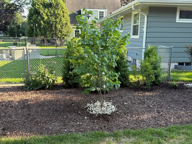 133 S Walkup Avenue, Crystal Lake, IL 60014