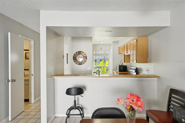 16143 RAMBLING VINE DRIVE E, Tampa, FL 33624