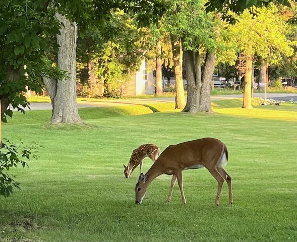 N3193 Nymph ROAD, Lake Geneva, WI 53147