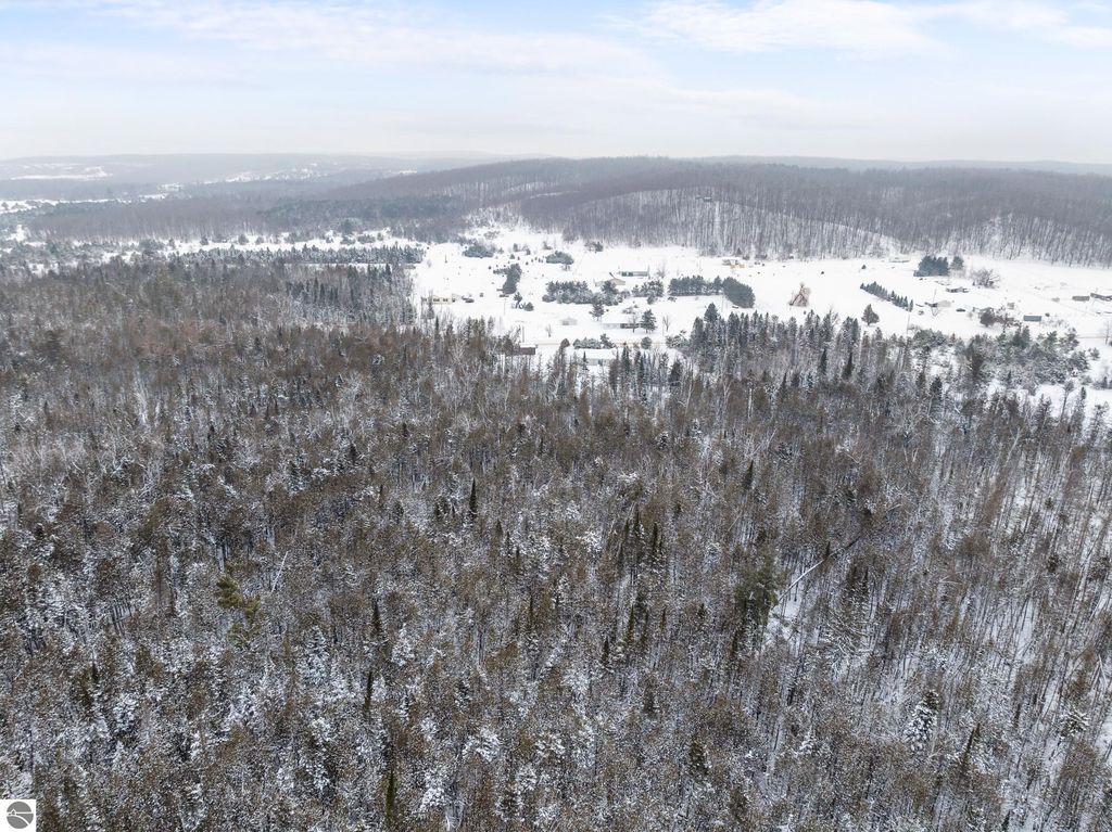 Image 7 of property listing at 433 Alexander Road, Vanderbilt, MI 49795