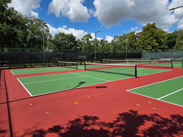 15806 Elkins Creek Court, Houston, TX 77044