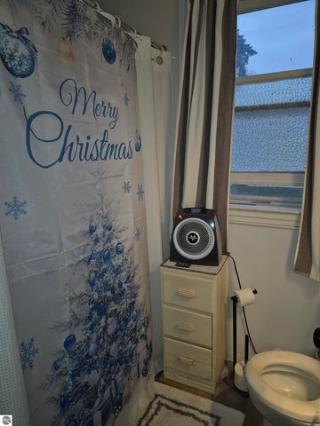 234 Wright Street, Cadillac, MI 49601