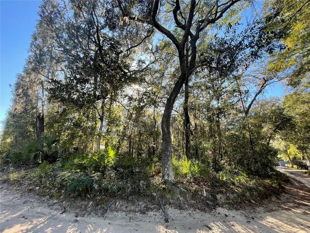 TBD NE 199TH PLACE, Fort Mc Coy, FL 32134