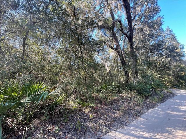 TBD NE 199TH PLACE, Fort Mc Coy, FL 32134