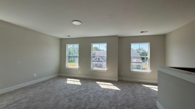 1124 Stable Way, Landrum, SC 29356