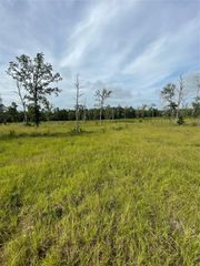 TBD Farm Market 3152, Livingston, TX 77351