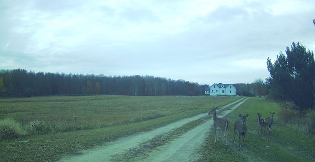 8110 Ames Road, Bear Lake, MI 49614