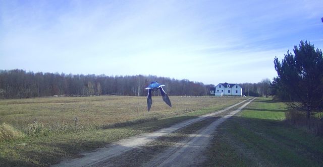 8110 Ames Road, Bear Lake, MI 49614