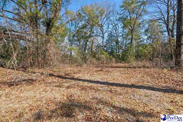 3094 Cobblestone St., Florence, SC 29506