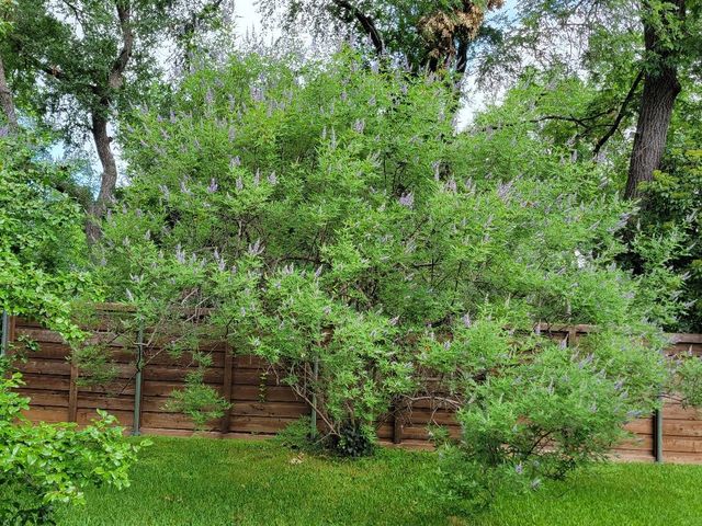605 S Ravinia Drive, Dallas, TX 75211