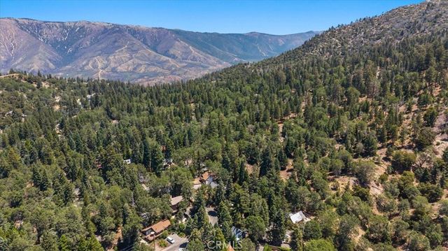 5998 Pine Avenue, Angelus Oaks, CA 92305