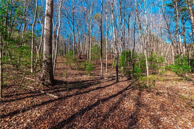 Lot 22 Meadow Brook Trail, Morganton, GA 30560