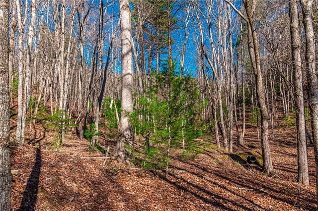 Lot 22 Meadow Brook Trail, Morganton, GA 30560