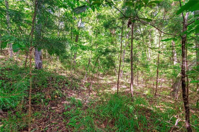 Lot 22 Meadow Brook Trail, Morganton, GA 30560