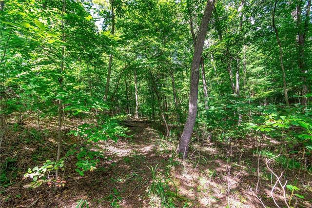 Lot 22 Meadow Brook Trail, Morganton, GA 30560