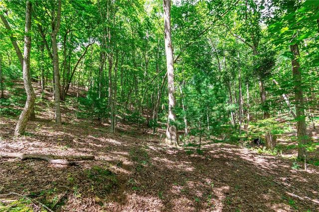 Lot 22 Meadow Brook Trail, Morganton, GA 30560