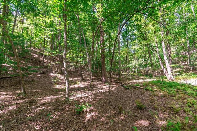 Lot 22 Meadow Brook Trail, Morganton, GA 30560