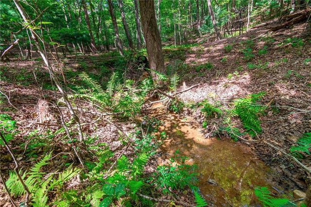 Lot 22 Meadow Brook Trail, Morganton, GA 30560