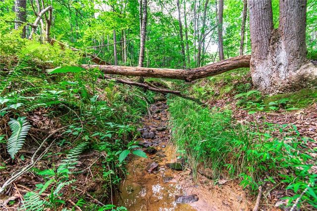 Lot 22 Meadow Brook Trail, Morganton, GA 30560