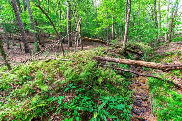 Lot 22 Meadow Brook Trail, Morganton, GA 30560