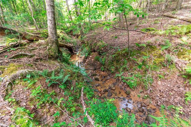 Lot 22 Meadow Brook Trail, Morganton, GA 30560