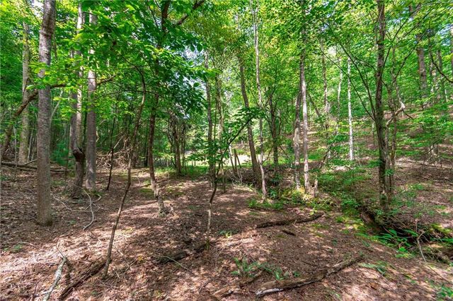 Lot 22 Meadow Brook Trail, Morganton, GA 30560