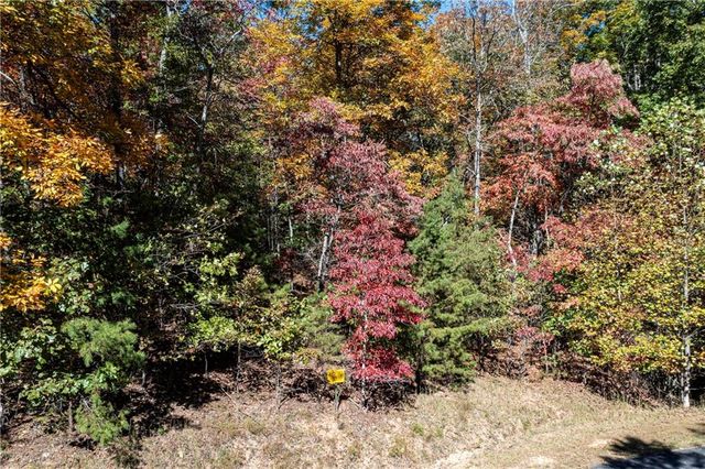 Lot 22 Meadow Brook Trail, Morganton, GA 30560
