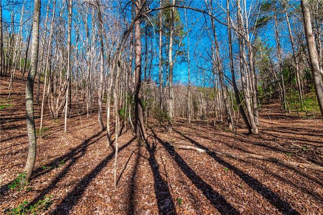 Lot 22 Meadow Brook Trail, Morganton, GA 30560