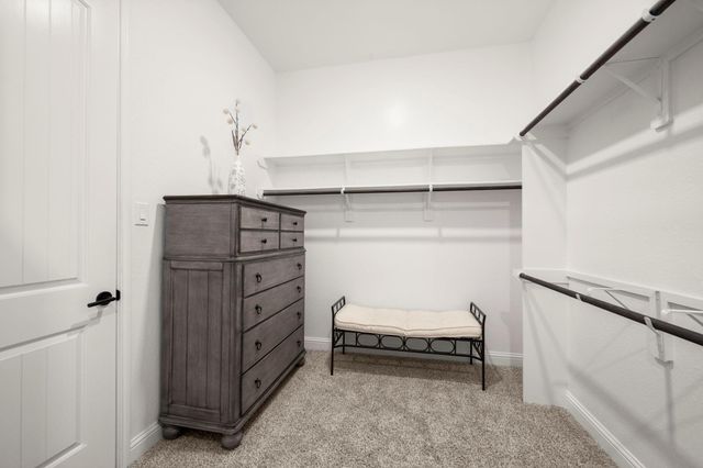 19315 Trotting Green Trail, Tomball, TX 77377