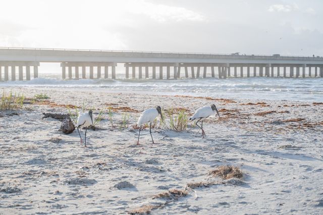 8850 Old A1A Unit 8 8, St Augustine, FL 32080