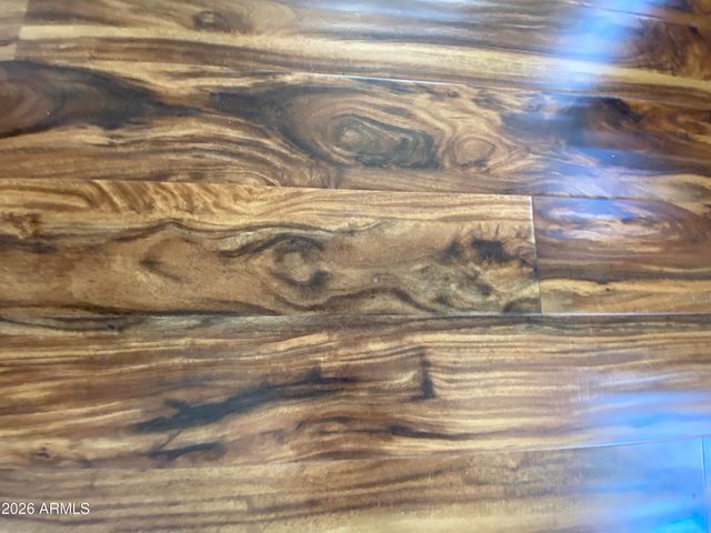 2237 W SAN JUAN Circle, Apache Junction, AZ 85119