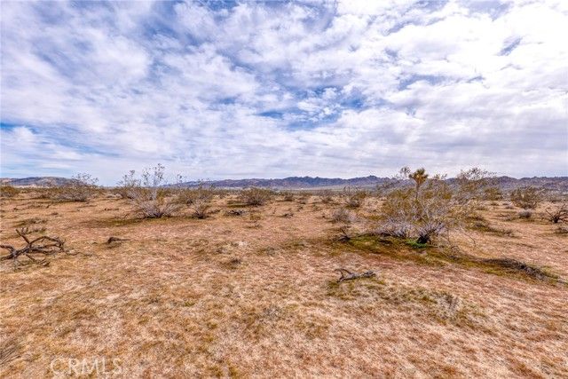147 Little Road, Joshua Tree, CA 92252